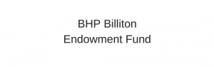 Logo for website -BHP